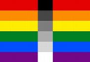Bandera de Homoflexible