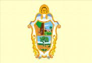 Bandera de Manaus