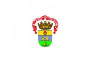 Bandera de Porto Alegre