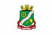 Bandera de Brusque Santa Catarina