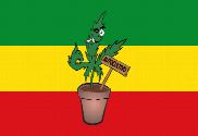 Bandera de Rasta autocultivo