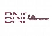Bandera de BNI Éxito