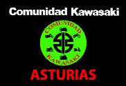 Bandera de Kawasaki Asturias