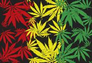 Bandera de Cannabis rasta