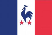 Bandera de France le coq
