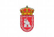Bandera de Ayna
