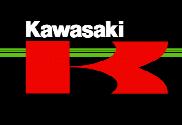 Bandera de Kawasaki Bike
