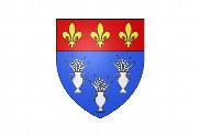 Bandera de Dourdan