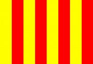 Bandera de Pista tramo resbaladizo