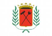 Bandera de Vallecas