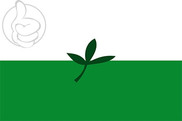 Bandera de Departamento de Vaupés