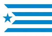 Bandera de Estelada Espanyol