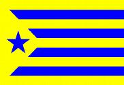 Bandera de Estelada Palamós Club de Futbol