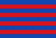 Bandera de Senyera Barça