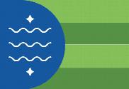 Bandera de Bellingham