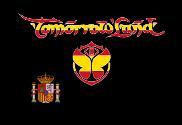 Bandera de TomorrowLand España negra