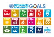 Bandera de Sustainable Development Goals UN 