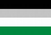 Bandera de Androsexualidad