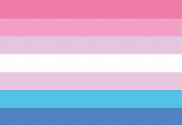 Bandera de Bigender