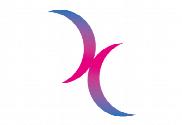 Bandera de Bisexual lunas