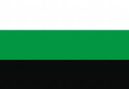 Bandera de Neutrois
