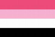 Bandera de Reciprosexual