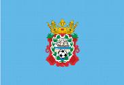 Bandera de C D Moaña
