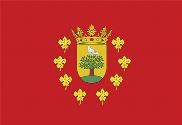 Bandera de Trebujena 