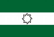 Bandera de Somos andaluces estrella negra