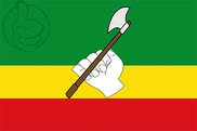 Bandera de Saravena