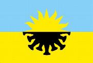 Bandera de Coronavirus
