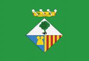 Bandera de Calonge Verde