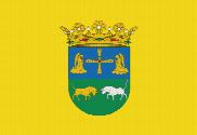 Bandera de Yernes y Tameza amarillo