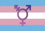 Bandera de Transgénero símbolo trans