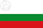 Bandera de Puerto Berrío