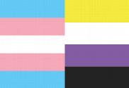 Bandera de Trans no binaria 