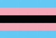 Bandera de Orgullo trans negra 
