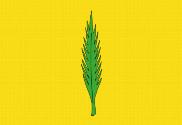 Bandera de Palma de Cervelló