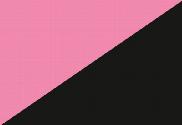Bandera de Queer Anarquismo