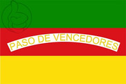 Bandera de Concepción