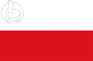Bandera de San Carlos