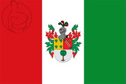 Bandera de Ciudad Bolívar