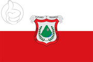 Bandera de Venecia (Colombia)