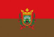 Bandera de Burgos