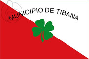 Bandera de Tibaná