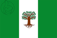 Bandera de Pachavita