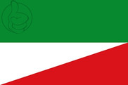 Bandera de San Luis de Gaceno