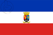 Bandera de Chillán Viejo
