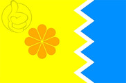 Bandera de Viña del Mar