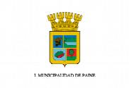 Bandera de Paine